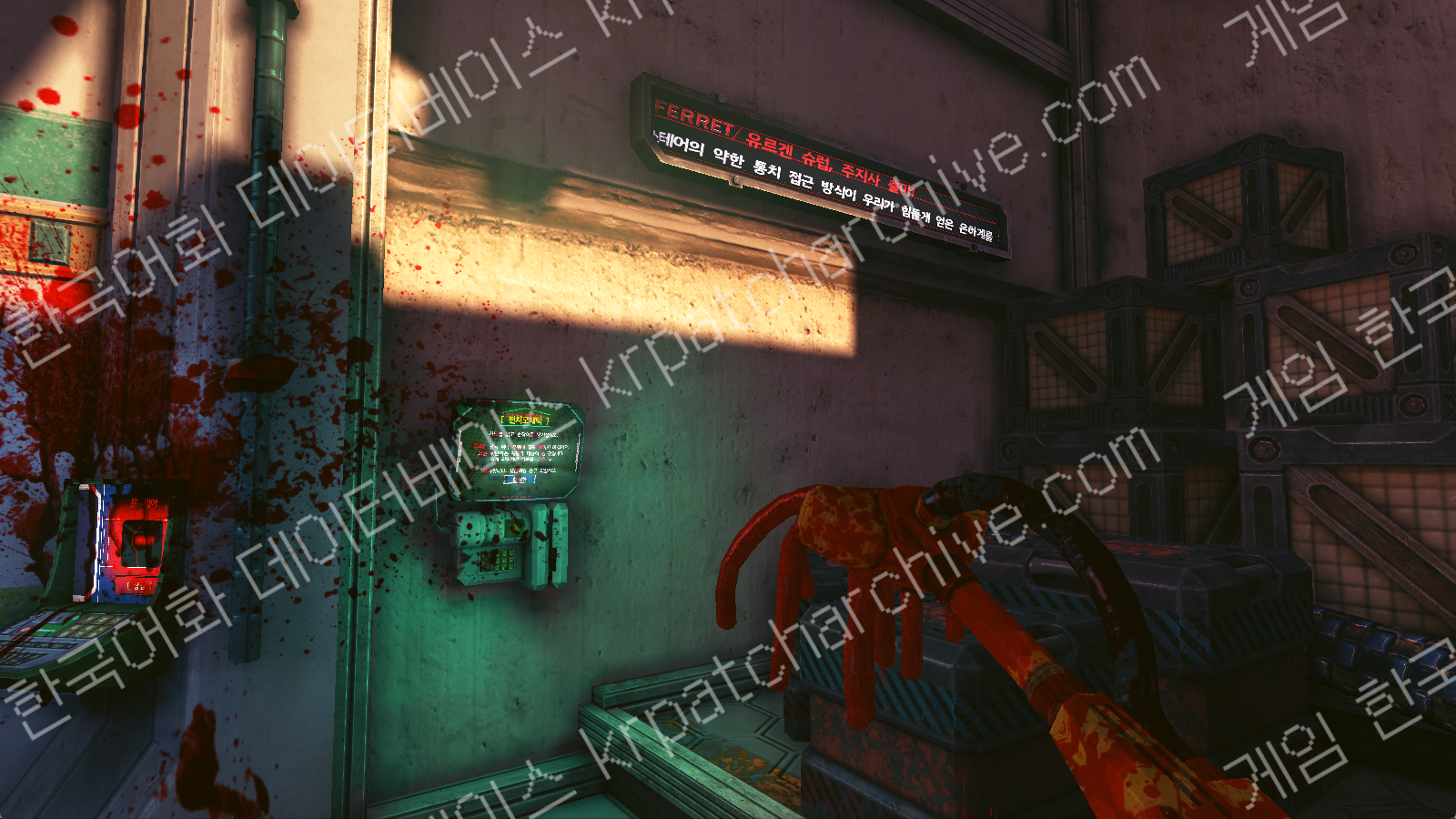 비세라 클린업 디테일